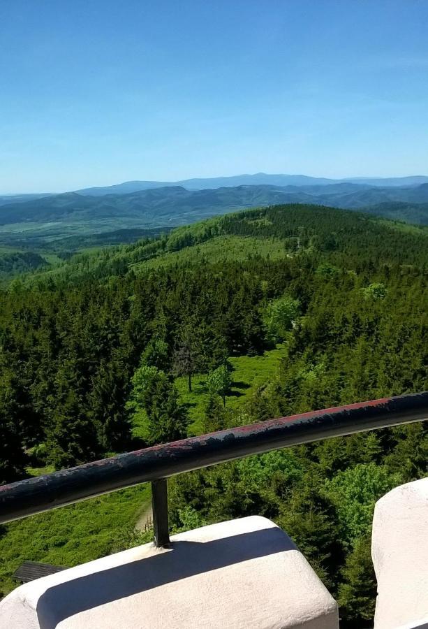 Apartamento Minisowa Jedlina-Zdroj Exterior foto