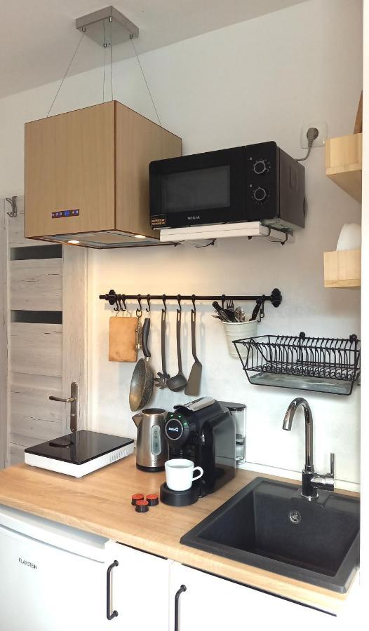 Apartamento Minisowa Jedlina-Zdroj Exterior foto