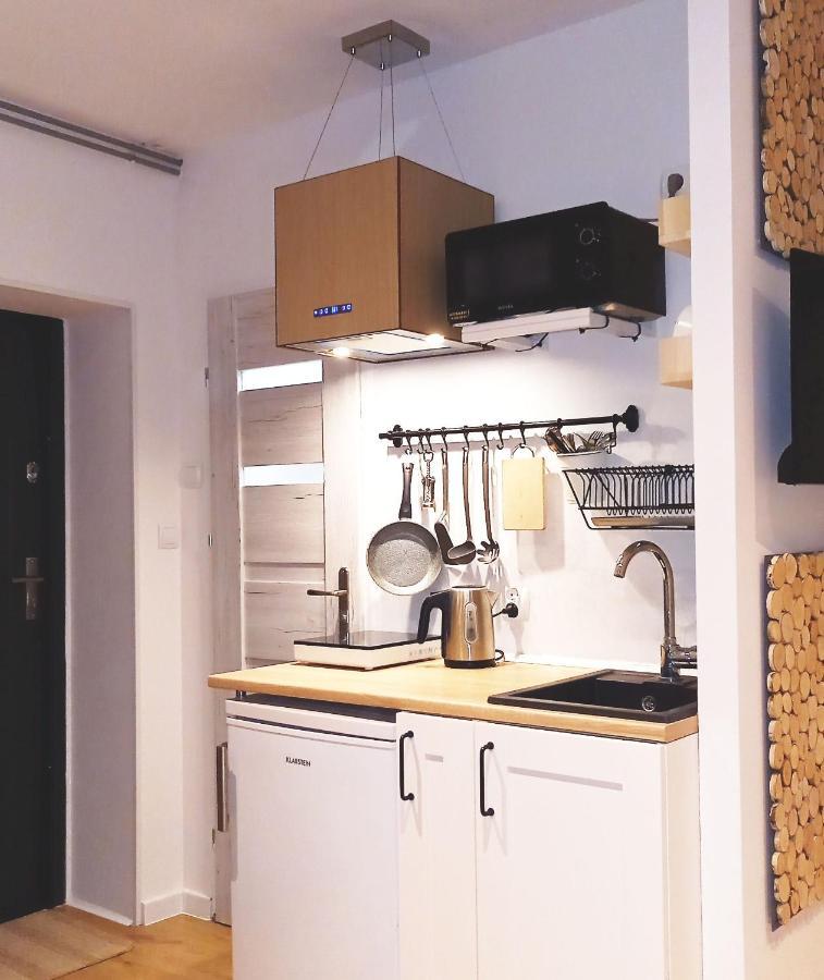 Apartamento Minisowa Jedlina-Zdroj Exterior foto
