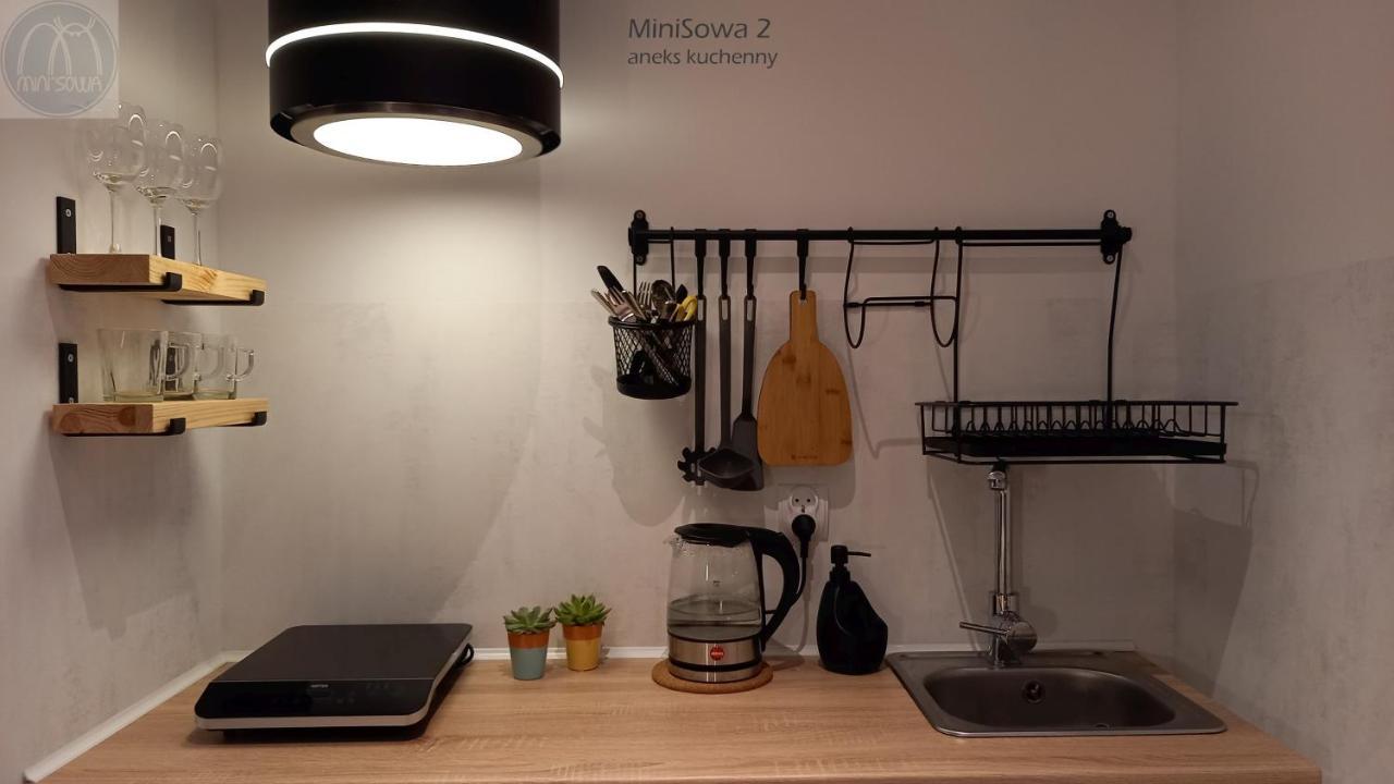 Apartamento Minisowa Jedlina-Zdroj Exterior foto